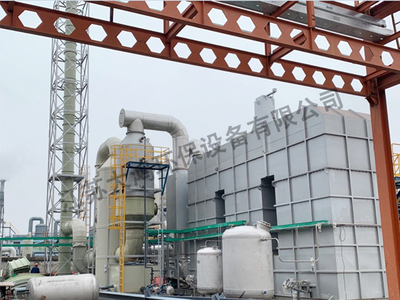 有机废气蓄热式焚烧炉（RTO）